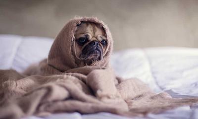 平民影院全网最新动漫在线观看