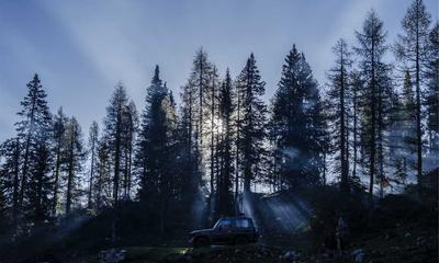 平民影院全网最新影视排行榜